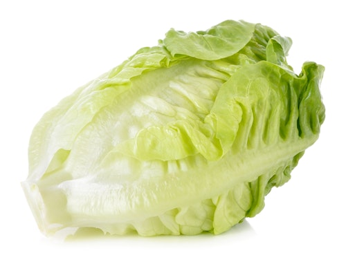 Økologisk Hjertesalat