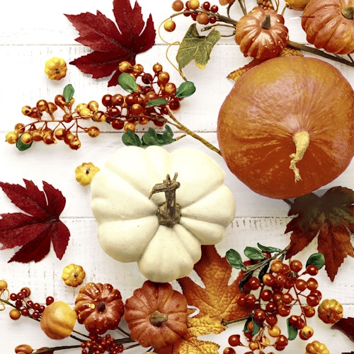 Bilde: © Duni / Oda Duni Servietter Pumkin & Leaves 3 lag, 33x33cm
