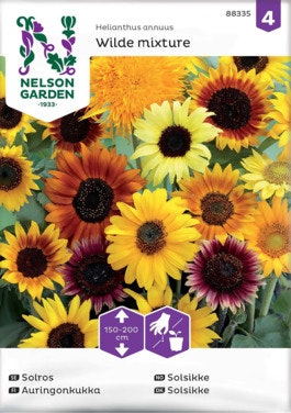 Bilde: © Nelson Garden / Oda Nelson Garden Solsikke, Blandede Sorter Frø