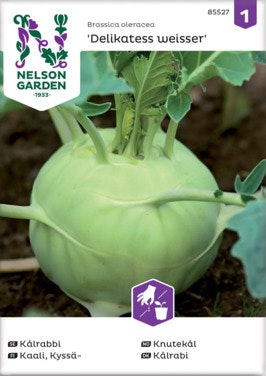 Bilde: © Nelson Garden / Oda Nelson Garden Knutekål 'Delikatess Weisser' Frø