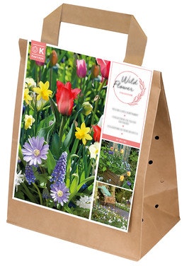 Bilde: © FreshFlowers / Oda FreshFlowers Blomsterløk Vårblomster 40 Løk