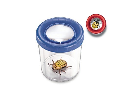 Bilde: © NAVIR / Oda NAVIR Mega insektsboks med forstørrelsesglass