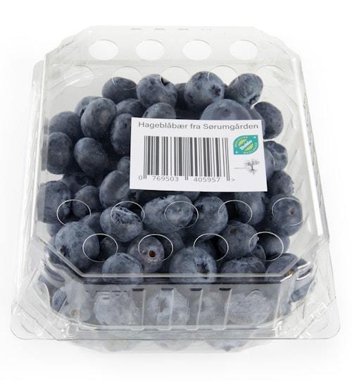 Økologiske blåbær Norge, 300 g