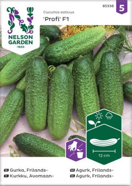 Bilde: © Nelson Garden / Oda Nelson Garden Drueagurk Frø