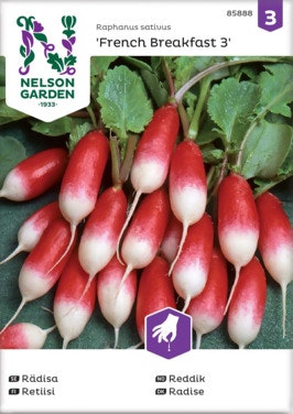 Bilde: © Nelson Garden / Oda Nelson Garden Reddik 'French Breakfast' Frø