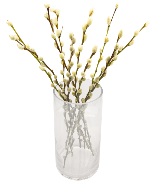 Bilde: © FreshFlowers / Oda FreshFlowers Gåsunger 47cm