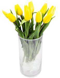 Tulipaner gule