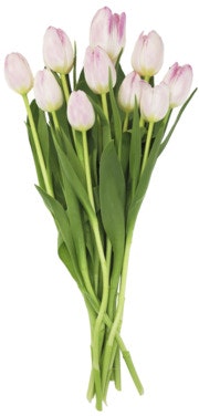 Bilde: © FreshFlowers / Oda FreshFlowers Rosa Tulipaner