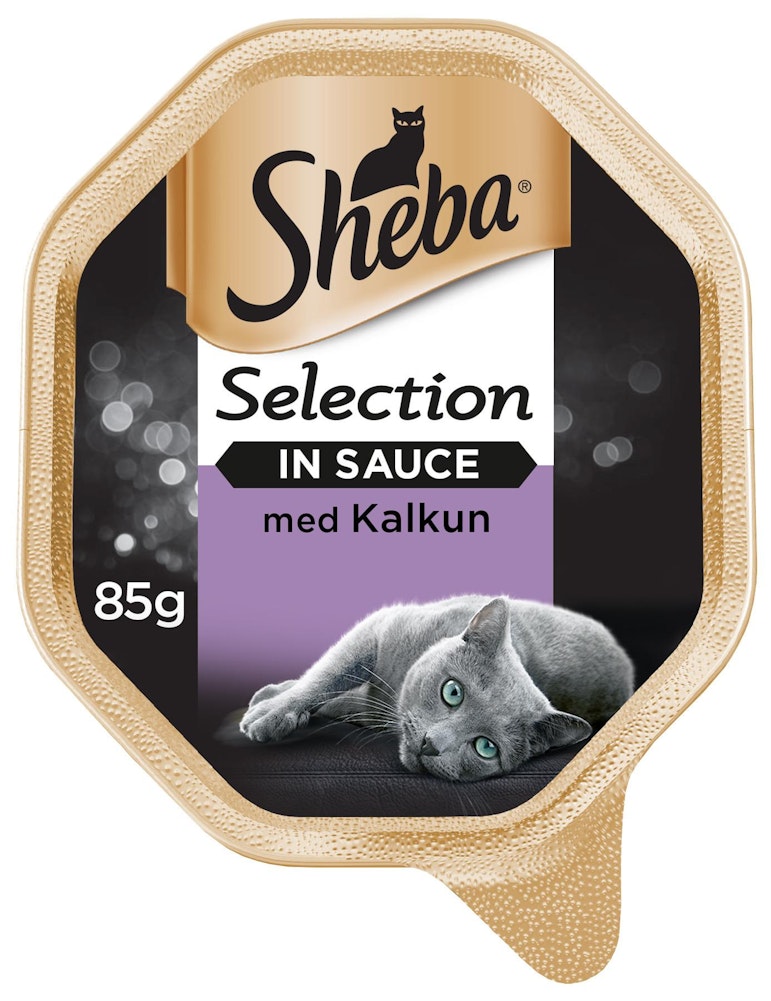 Sheba Selection Våtfôr til Katter i skål med Kalkun i Saus