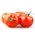 Tomater runde løse Spania/ Nederland