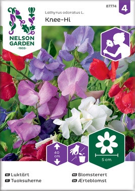 Bilde: © Nelson Garden / Oda Nelson Garden Blomsterert blandede farger frø
