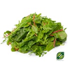 Salat Mix, økologisk, 75 gram, Norge
