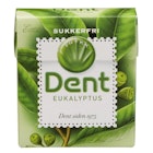 Dent Eukalyptus