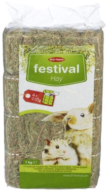 Bilde: © Best Friend / Oda Best Friend Festival Kompakt Høy