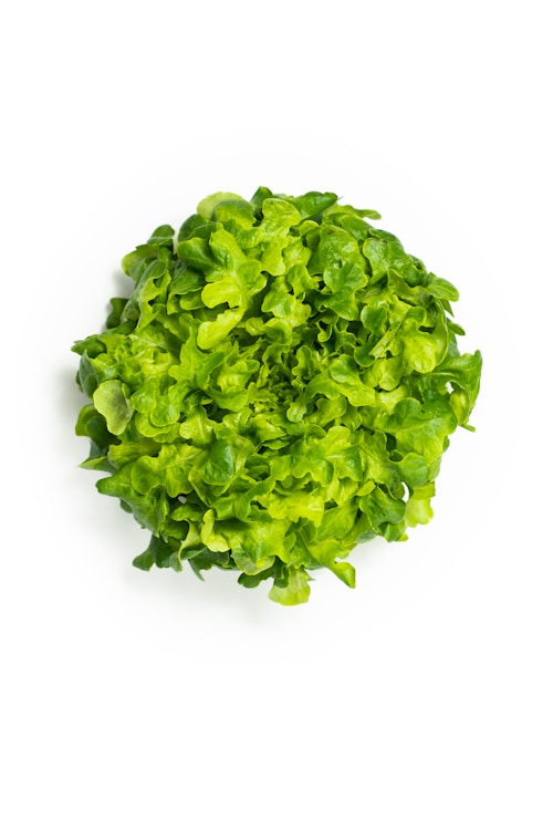 Onna Greens Big Oak Salat