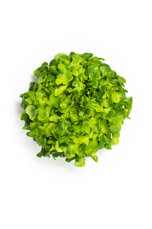 Bilde: © Onna Greens / Oda Onna Greens Big Oak Salat
