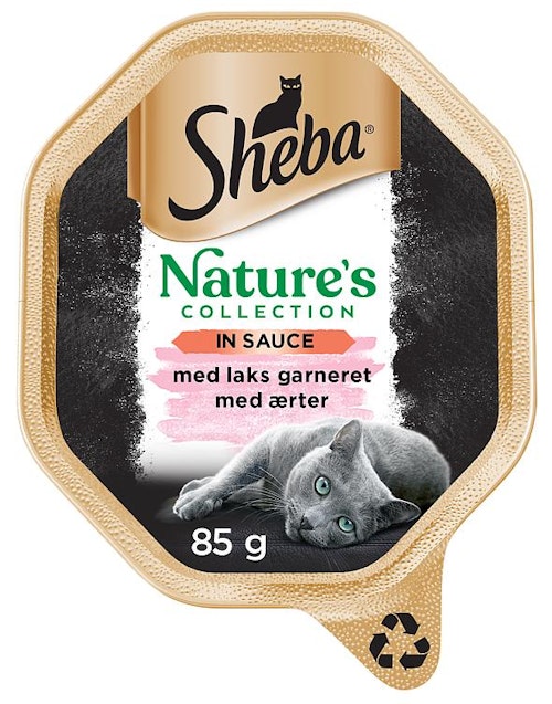 Sheba Sheba Nature's Collection Våtfôr til Katter i skål med Laks og Erter I Saus