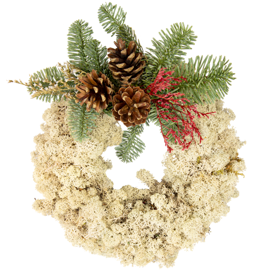 Bilde: © FreshFlowers / Oda FreshFlowers Mosekrans 25cm