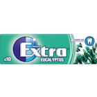 Extra Eucalyptus