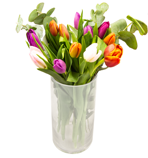 Bilde: © FreshFlowers / Oda FreshFlowers Tulipanbukett med eucalyptus