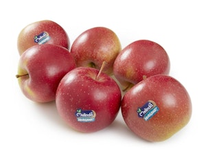 Epler, Røde, 6 pk Morgana Italia