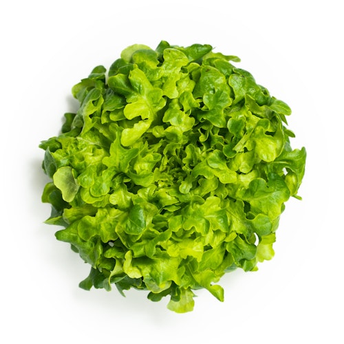 Onna Greens Big Oak Salat Norge