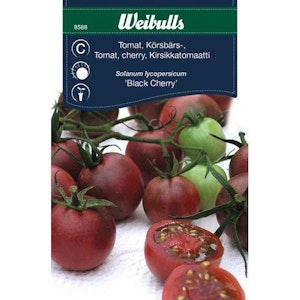 Weibulls Odlingsfrön Tomat Black Cherry