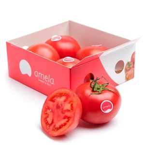 Frukt & Grönt Tomat "Amela" Klass1