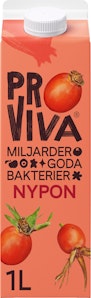 Fruktdryck Nypon