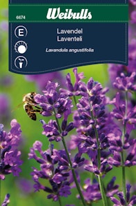 Weibulls Odlingsfrön Lavendel