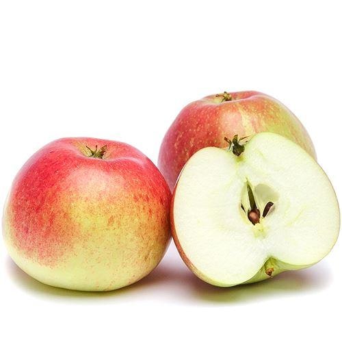 Äpple Amorosa Klass1
