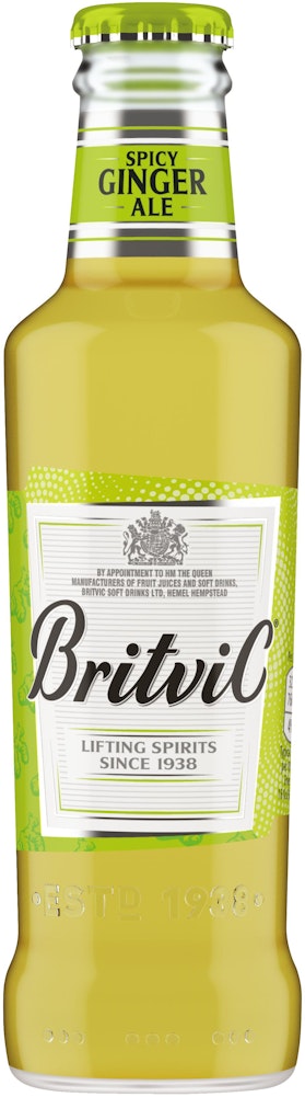 Britvic Ginger Ale 200ml Britvic