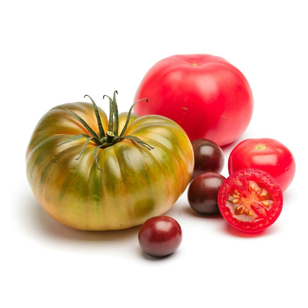 Tomat Gourmetmix Klass1