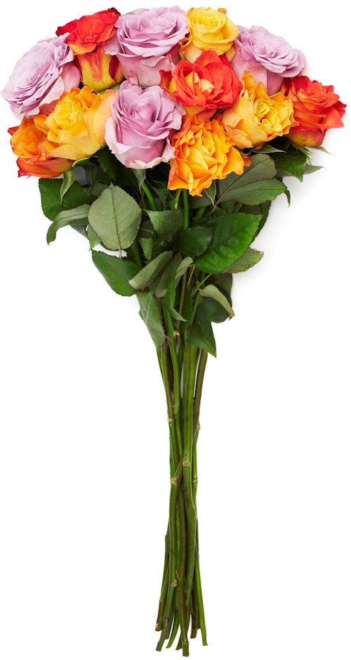 Bilde: © FreshFlowers / Oda FreshFlowers Roser Mix Varme Farger 35 cm