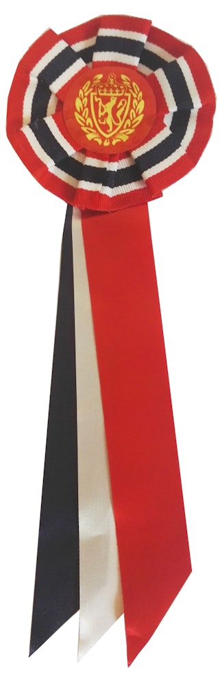 Klassisk Sløyfe Rosett 21 cm