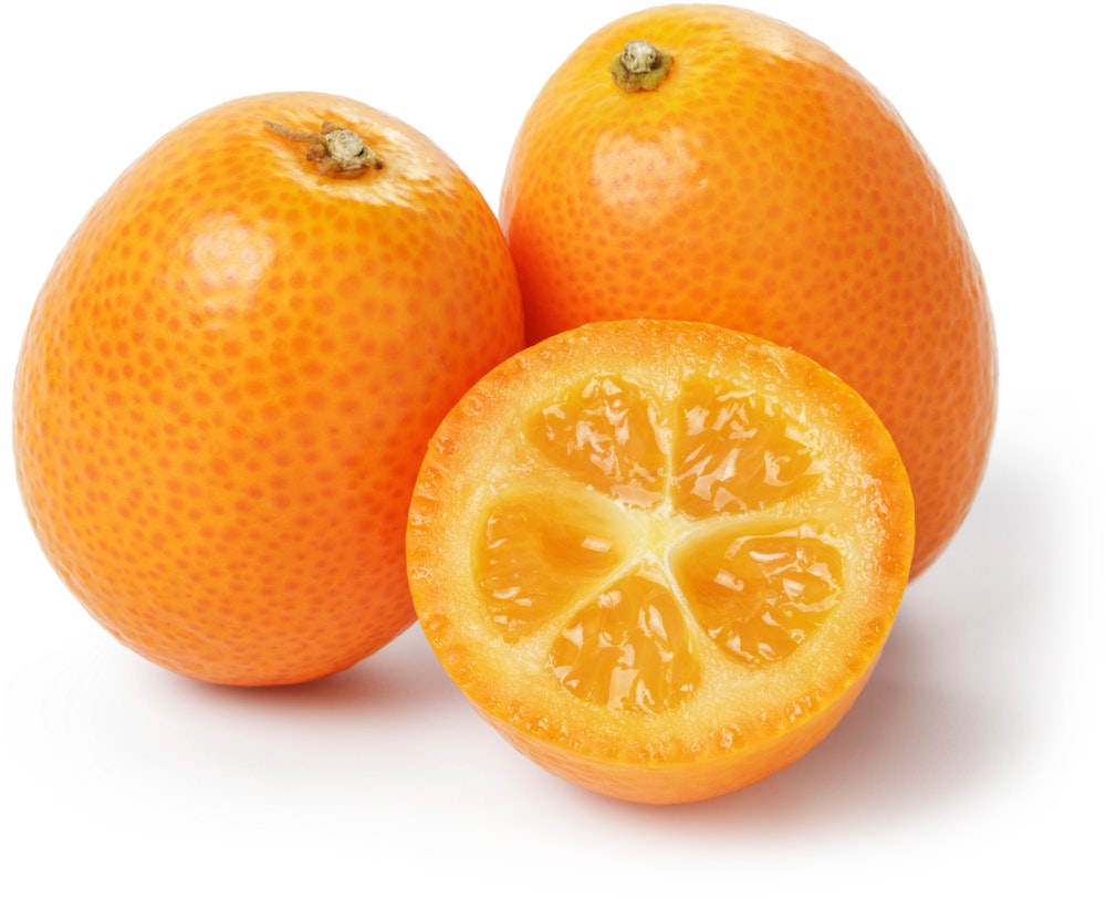 Kumquat Spania / Sør Afrika
