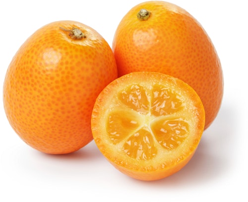 Kumquat Spania