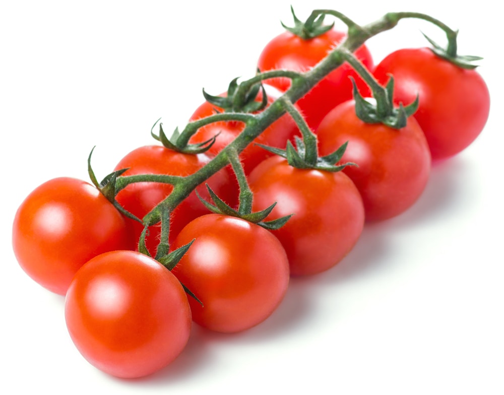 Små Tomater Holland