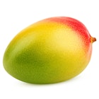 Mango Snart Moden