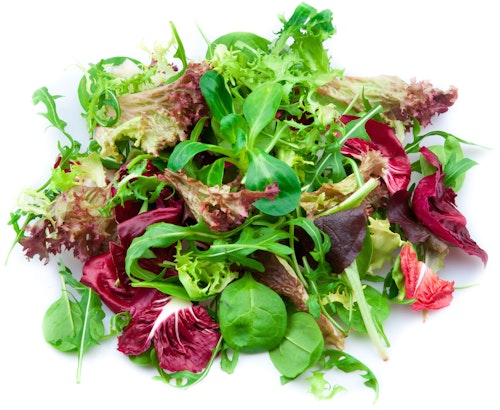 Salatblanding Premium Beger Spania/ Italia