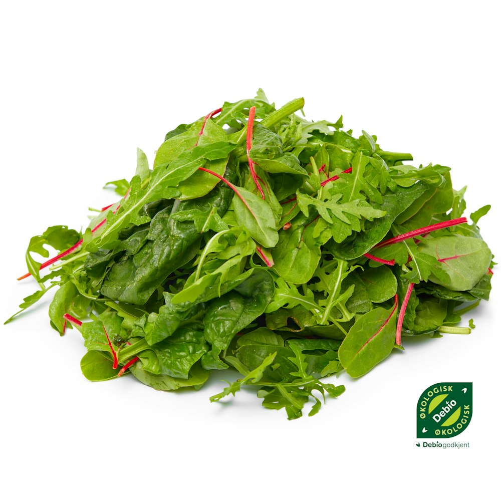 Økologisk Salatmix Italia, 100 g