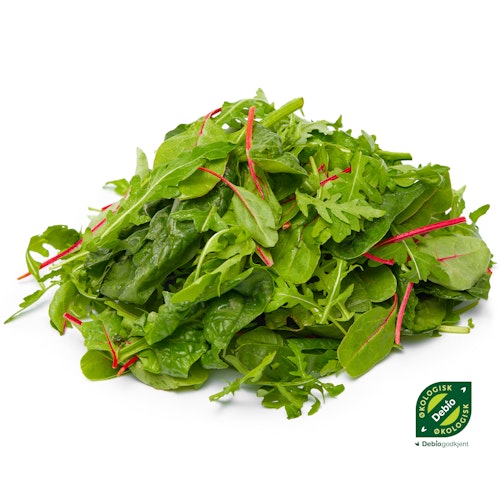 Økologisk Salatmix Norge