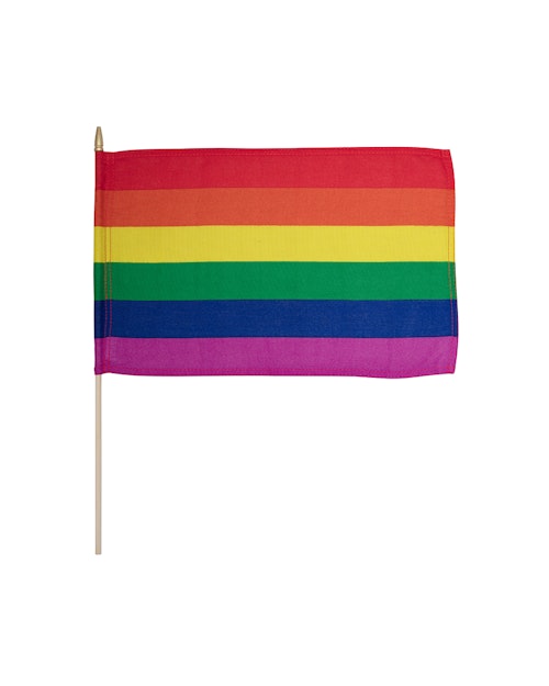 Oslo Pride Oslo Pride Flagg Regnbue Nonprofit, 30x45cm