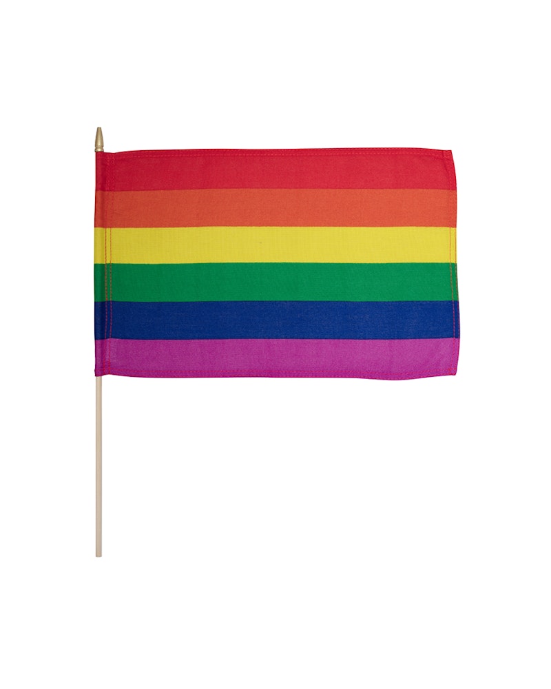 Oslo Pride Flagg Regnbue Nonprofit, 30x45cm