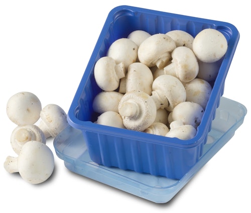 Champignon Kurv, Nederland/ Polen, 250 g