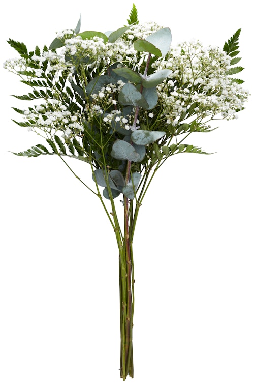 Grøntmix Bukett Lederløv, Eucalyptus og Brudeslør (45 cm)