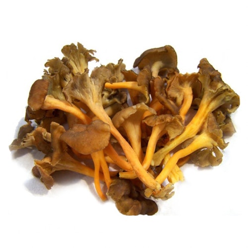 Trompetsopp Gul/Rød Sverige, 200 g