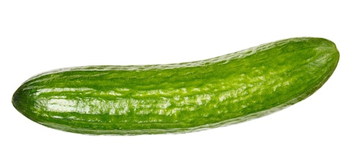 Økologisk Agurk Holland