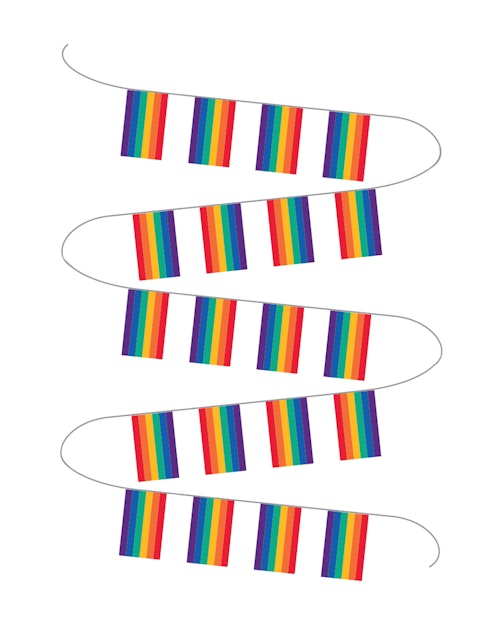 Oslo Pride Buntflagg Regnbue