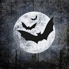 Servietter Halloween Moon And Bats